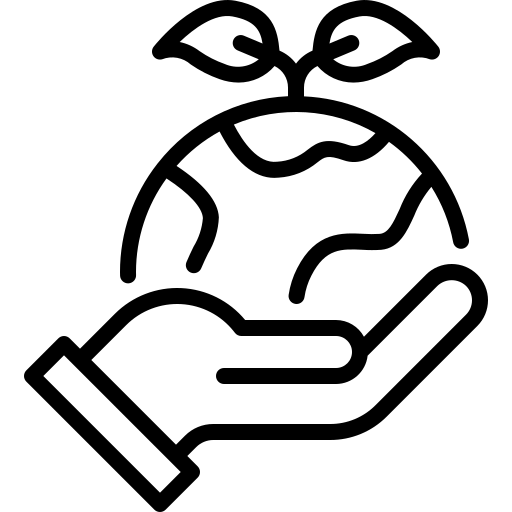 COP29