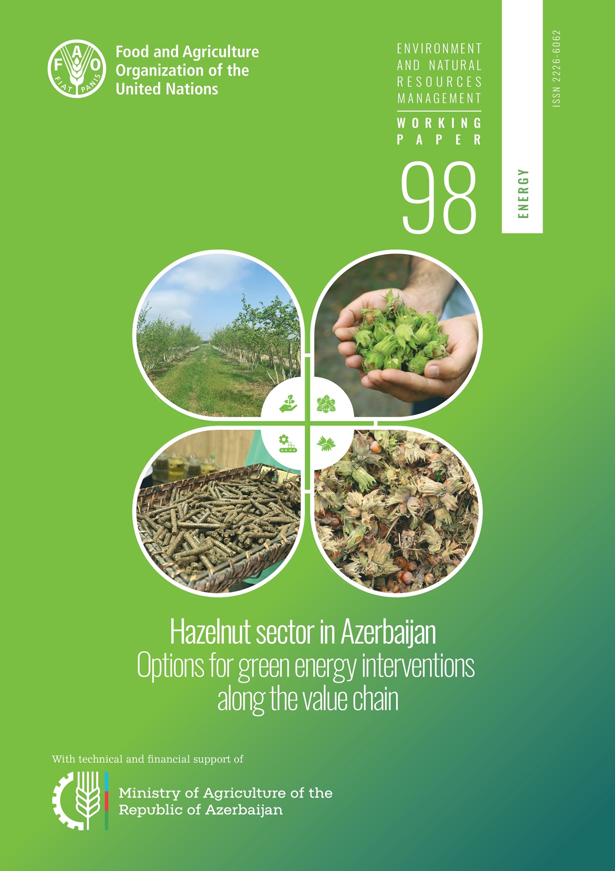 Hazelnut sector in Azerbaijan. Options for green energy interventions along the value chain